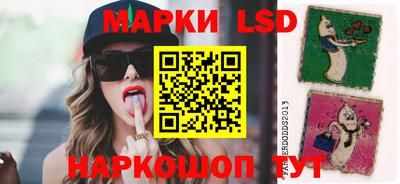 PSILOCYBIN Кунгур