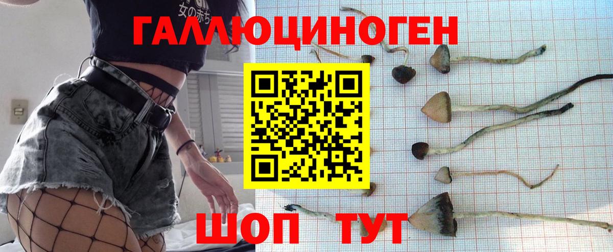Галлюциногенные грибы Magic Shrooms  Галлюциногенные грибы Cubensis  Домодедово  Вход с VPN 